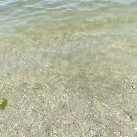 Case Al Mare * Lido degli Scacchi